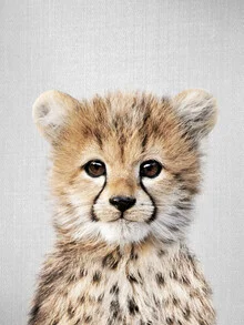 Photo art of a cute baby cheetah curiously looking at the camera.