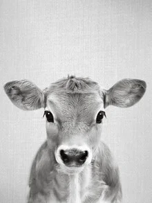 Black and white photo of a cute calf on a farm.