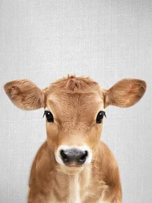 Photo art of a calf on a farm, soft colors and a calm atmosphere.