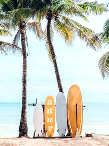Photo art by Gal Pittel: colorful surfboards on the beach under palm trees