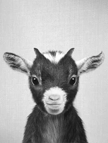 Wall art of a cute baby goat in black and white, showcasing gentle features.