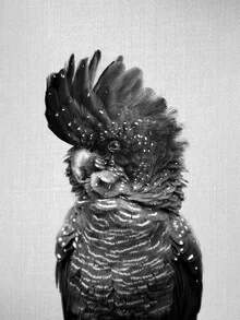 Black and white photo art: portrait of a black cockatoo in a calm setting