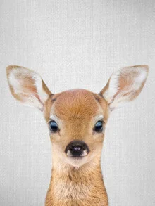 Photo art by Gal Pittel: a sweet fawn in the woods, surrounded by soft lighting.
