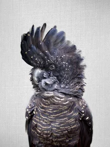Black cockatoo perched on a branch, soft colors, and a calm atmosphere.