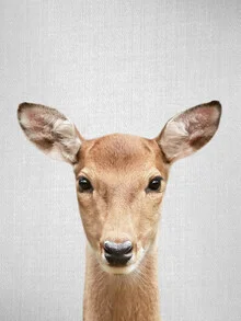 Photo art by Gal Pittel: gentle portrayal of a doe in a winter forest