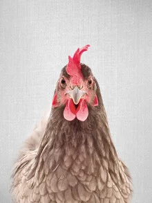 Photo art by Gal Pittel: Portrait of a chicken on a farm.