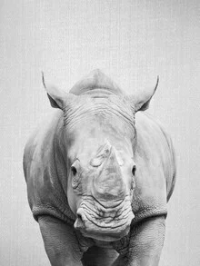 Photo art by Gal Pittel: minimalist black and white portrait of a rhino