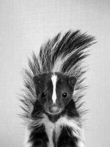 Photo art by Gal Pittel: black and white image of a skunk in the forest.