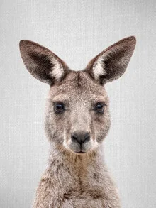 Photo art by Gal Pittel: a cute kangaroo in a natural setting.