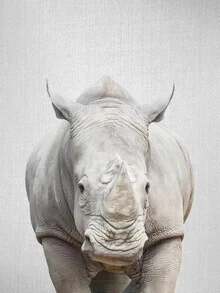 Photo art by Gal Pittel: portrait of a rhino in its natural habitat
