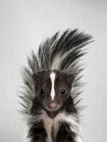 Cute skunk on a meadow, cheerful mood in soft colors.