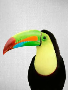 Colorful toucan perched on a branch in a natural setting