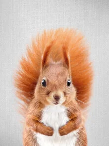 Charming squirrel perched on a tree, showcasing soft orange tones