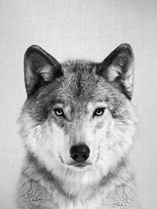 Black and white photo art by Gal Pittel: wolf in winter, gentle mood