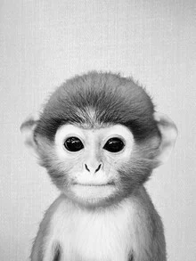 Photo art by Gal Pittel: cute baby monkey in black and white
