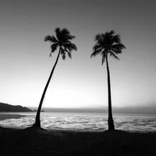 Wall art by Christian Janik: two palm trees on the beach in Thailand