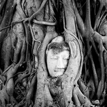 Photo art by Christian Janik: Buddha statue at Wat Mahathat in Ayutthaya, Thailand.