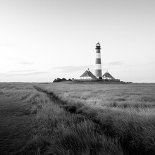 Christian Janik, Lighthouse Westerhever