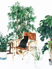 Illustration of a cat in a green, tropical setting with monstera leaves.
