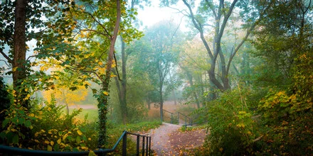Wunderschöne herbstliche Parklandschaft mit Nebel und bunten Bäumen