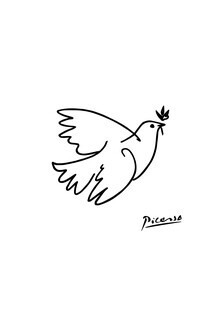 Art Classics, Picasso pigeon line drawing black and white