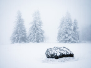Heiko Gerlicher, frosty morning