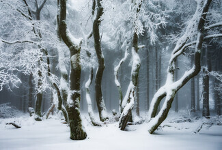 Heiko Gerlicher, Creatures of the woods II