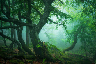 Heiko Gerlicher, Creatures of the woods VIII