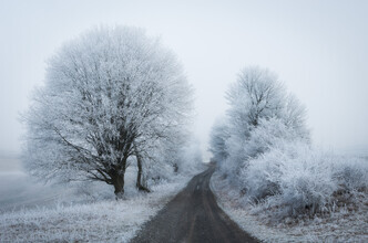 Heiko Gerlicher, Winter way