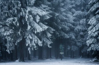 Photo art by Heiko Gerlicher: serene winter forest scene with fog and frosted trees