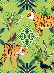Illustration by Uma Gokhale: colorful birds in a vibrant jungle scene