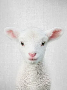 Lamb in the woods, curious gaze and soft colors, playful atmosphere