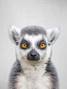 Lemur peeking curiously from a natural setting