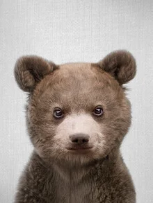 Photo art by Gal Pittel: cute baby bear peeking curiously at the camera