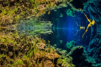Photo art by Boris Buschardt: colorful underwater view with reflections