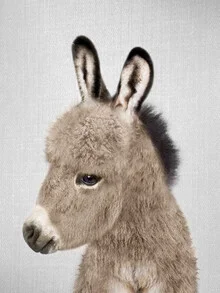 Playful donkey with a cheerful expression, perfect for kids' room decor.