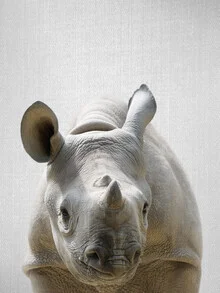 Cute baby rhino peeking into the camera, set in a natural environment.