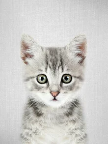 Cute kitten: curious gaze on a soft surface