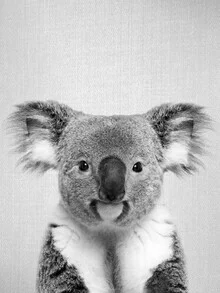 Photo art of a koala in black and white, gentle mood and calm composition.