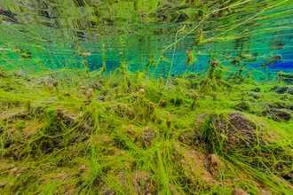 Fotokunst von Boris Buschardt: Unterwasseraufnahme in klarem Wasser von Silfra