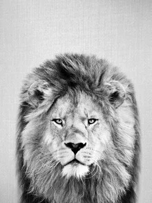 Black and white photo of a lion with gentle facial features and a calm demeanor.