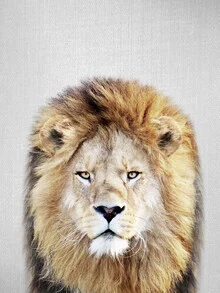 Lion in nature, with a gentle gaze and a touch of humor.