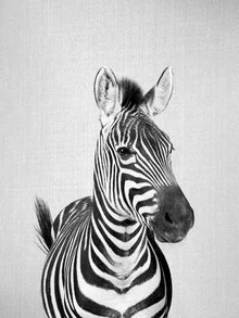 Black and white photo art: Zebra with striking stripes and curious eyes.