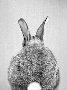 Photo art by Gal Pittel: a sweet view of a rabbit's backside