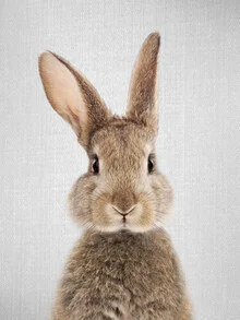 Photo art by Gal Pittel: cute rabbit with big eyes in soft lighting