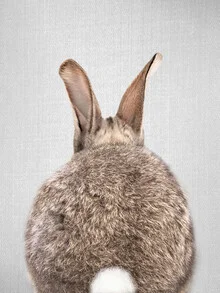 Charming image of a rabbit tail in soft colors.