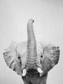 Black and white photo art: Elephant in a calm pose, gentle mood.