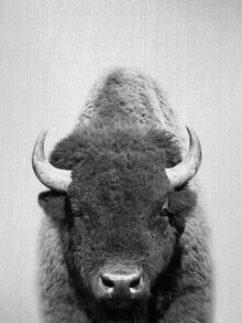 Black and white photo art: majestic bison in a natural setting.