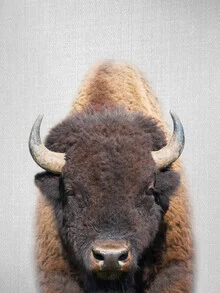 Photo art by Gal Pittel: close-up of a majestic buffalo in nature