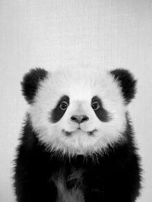 Fotokunst von Gal Pittel: Baby-Panda in Schwarz-Weiß, fröhlich und verspielt.